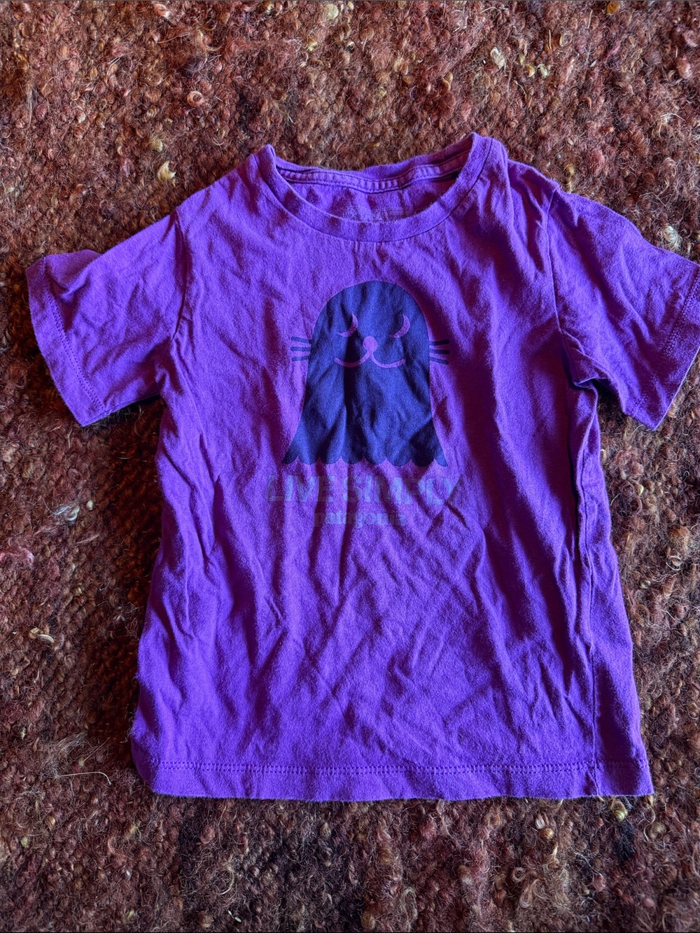 Patagonia Purple Kids Short Sleeve Graphic Tee